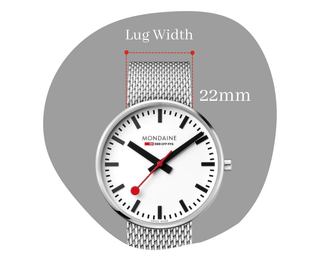 strapslp_grid1_22_080323_compressed_relative_080.png