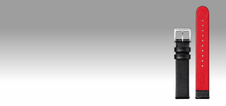 strapslp_hero1_080323_compressed_relative_080.png