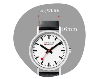 strapslp_grid2_16mm_080323_compressed_relative_080.png