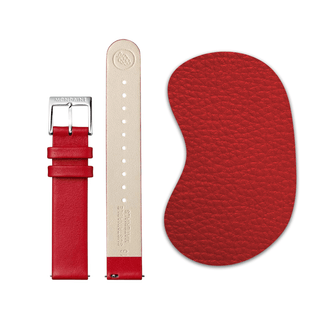 strapslp_grid8_080323_compressed_relative_080.png